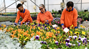 Muratpaşa’da bitki üretim tesisi ile sürdürülebilir üretim yapılıyor