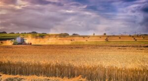 Tarım ürünleri üretici fiyat endeksi yıllık yüzde 40,10, aylık yüzde 0,21 arttı