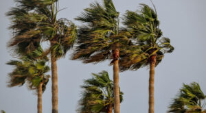 MGM: Güneybatıda kuvvetli rüzgar ve fırtına bekleniyor