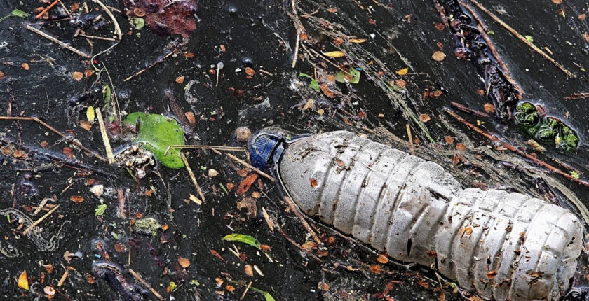 Sıfır Atık Mavi Projesi ile denizlerden 23 bin kamyon çöp temizlendi Sıfır Atık Mavi Projesi ile denizlerden 23 bin kamyon çöp temizlendi