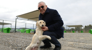 Ertaş: Sokak hayvanlarının yaşam hakkını korumak en temel sorumluluklarımızdan biri