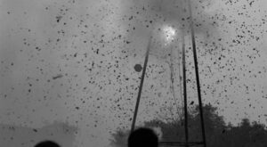 IDF: Hizbullah’ın finans ağına yönelik saldırılarda 30 hedef vuruldu