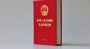 Xi Jinping bir dizi Cumhurbaşkanlığı kararnamesi imzaladı
