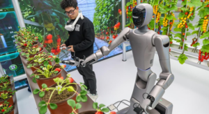 Çin, yeni teknoloji ekosistemiyle küresel ekonomiye güç katıyor