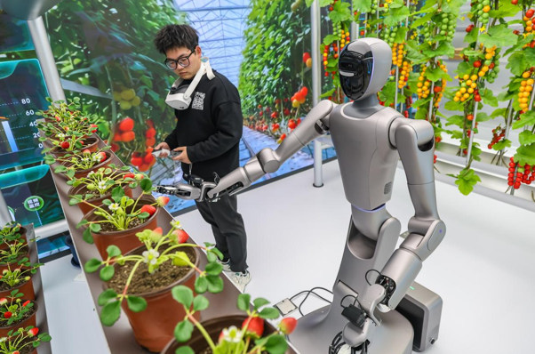 Çin, yeni teknoloji ekosistemiyle küresel ekonomiye güç katıyor