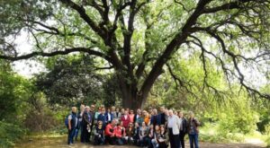 Validebağ Korusu Projesi Avrupa’da örnek gösterildi