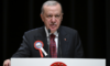 Erdoğan ve Steinmeier’den görüştü