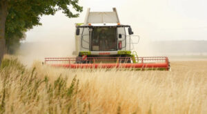 TÜİK-Tarımsal girdi fiyat endeksi yıllık %31,55 arttı