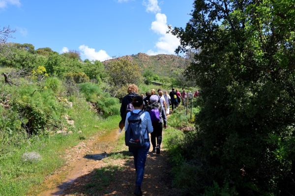 Bodrum’da kültür ve doğa yürüyüşleri devam ediyor