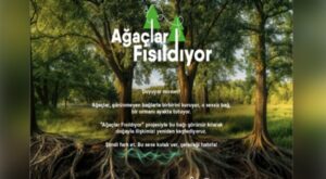 “Ağaçlar Fısıldıyor” projesi ile doğanın sessiz hikayesi gün yüzüne çıkıyor