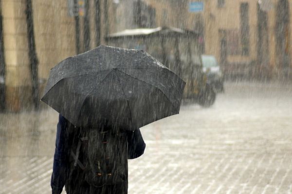 Meteoroloji’den uyarı: Yağış, rüzgar ve zirai dona dikkat