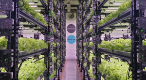 Farmicca’dan tarımda verimlilik ve teknoloji vurgusu