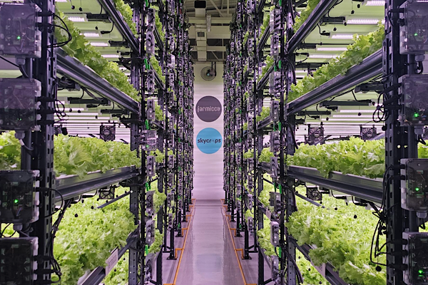 Farmicca’dan tarımda verimlilik ve teknoloji vurgusu