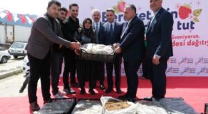 Adana’da üreticiye 900 bin çilek fidesi desteği