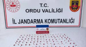 Ordu’da uyuşturucu operasyonu