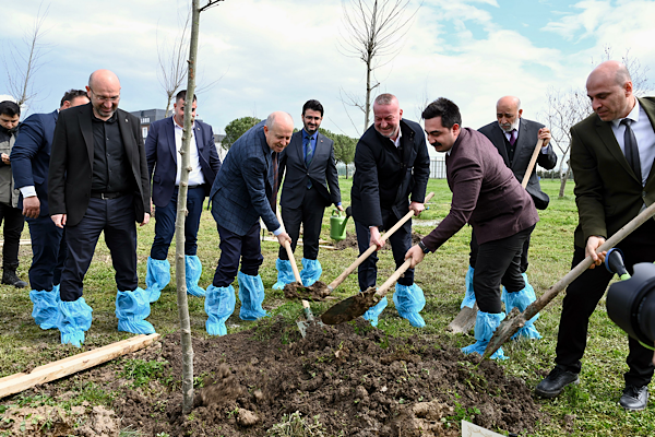 Karacabey’de Bursa’nın Fethi 700. yılına özel çınar fidanları dikildi Karacabey’de Bursa’nın Fethi 700. yılına özel çınar fidanları dikildi