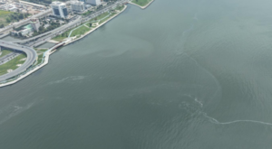 İzmir Körfezi’nde dış kaynaklı kirlilik tespit edildi