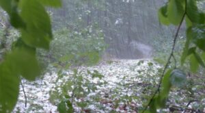 Meteoroloji’den kuvvetli yağış ve çığ tehlikesi uyarısı