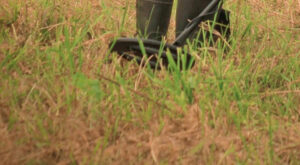 Azerbaycan’da mayın temizleme çalışmalarına ilişkin veriler açıklandı