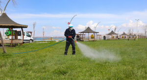 Van’da haşereyle mücadele çalışmaları başlatıldı