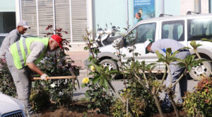 Gazipaşa’da çevre düzenleme ve çiçeklendirme çalışması yapıldı