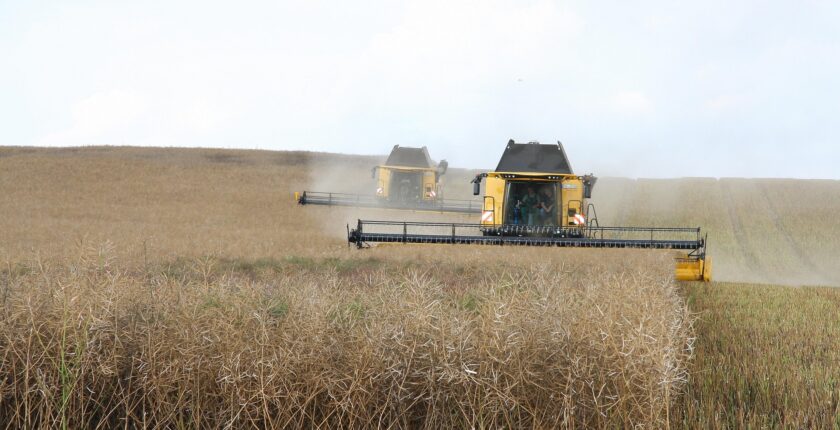 Kayseri’de üreticiye 350 ton tohum desteği Kayseri’de üreticiye 350 ton tohum desteği