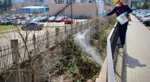 Giresun’da ilaçlama çalışmaları sürüyor Giresun’da ilaçlama çalışmaları sürüyor