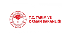 Tarım ve Orman Bakanlığı’ndan Tarsus’taki marul videolarına ilişkin açıklama