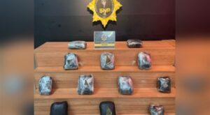 Şanlıurfa’da uyuşturucu operasyonu