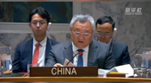 Çin: Bölgesel sorunlar bölgesel yöntemlerle çözülmeli