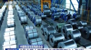 Çin’de emtia fiyat endeksi Mart ayında arttı