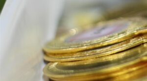 Nesrin Baş, Avrupa Güreş Şampiyonası’nda altın madalyanın sahibi oldu