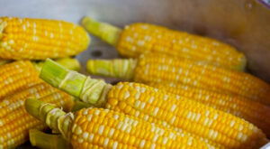 Ticaret Bakanlığı’ndan mısır ithalatına yeni düzenleme