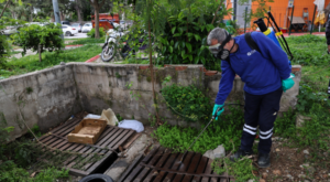 Antalya’da haşereyle mücadele çalışması başlatıldı