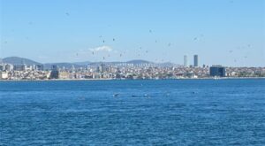 İstanbul Sarayburnu’nda yunus akını