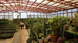 Marmaris’te seralar üretimle 23 milyon TL tasarruf sağladı