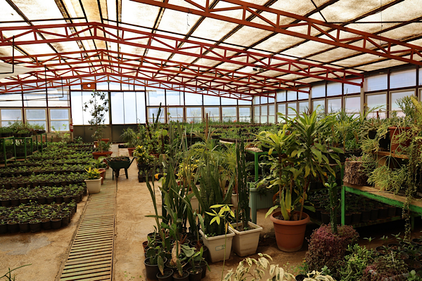 Marmaris’te seralar üretimle 23 milyon TL tasarruf sağladı