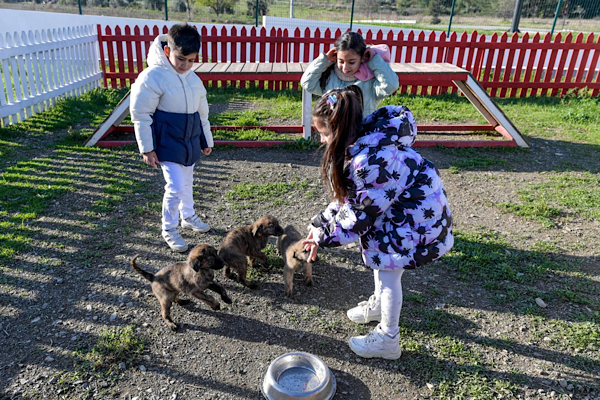 İzmir’de 3 bin 300 hayvan sahiplendirildi İzmir’de 3 bin 300 hayvan sahiplendirildi