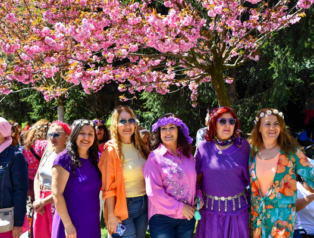 Dikmen Vadisi’nde kadın lokalleri üyeleri Sakura Şenliği’nde buluştu