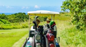 Reeder’in elektrikli golf aracı üretimi