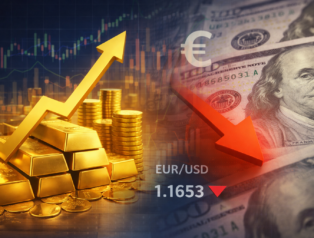 Enflasyon ve dolar/TL beklentilerinde artış