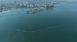 İzmir Körfezi’nde 6 ayda 12 kirlilik vakası tespit edildi