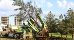 Kayapınar Fırat Bulvarı’nda yenileme çalışmaları başlatıldı