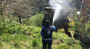 Trabzon’da kahverengi kokarca mücadelesi