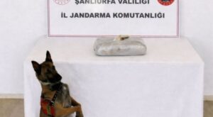 Birecik’te uyuşturucu operasyonu