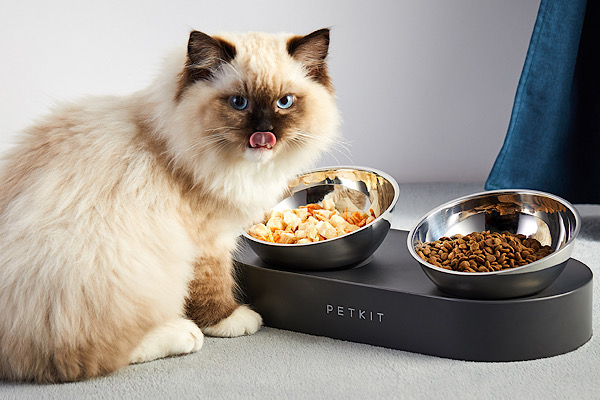 EVOFONE’dan evcil hayvan sahiplerine büyük fırsat!