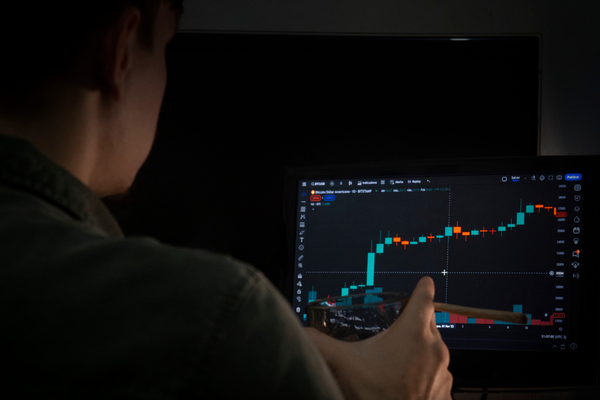 Model portföyde öne çıkan hisseler açıklandı Model portföyde öne çıkan hisseler açıklandı