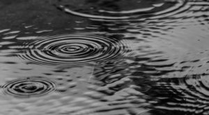 Doğu Karadeniz için kuvvetli yağış uyarısı