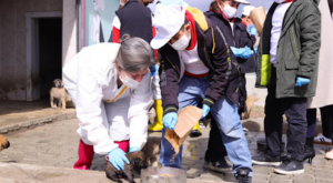 Van’da atıklar mamaya dönüşüyor