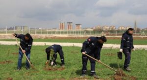 Eskişehir’de evlenen çiftler adına fidan dikiliyor